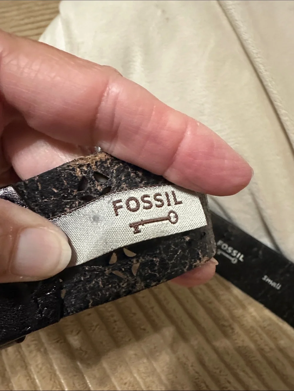 Fossil Black Laser-Cut Leather Belt with Silver Ring Buckle